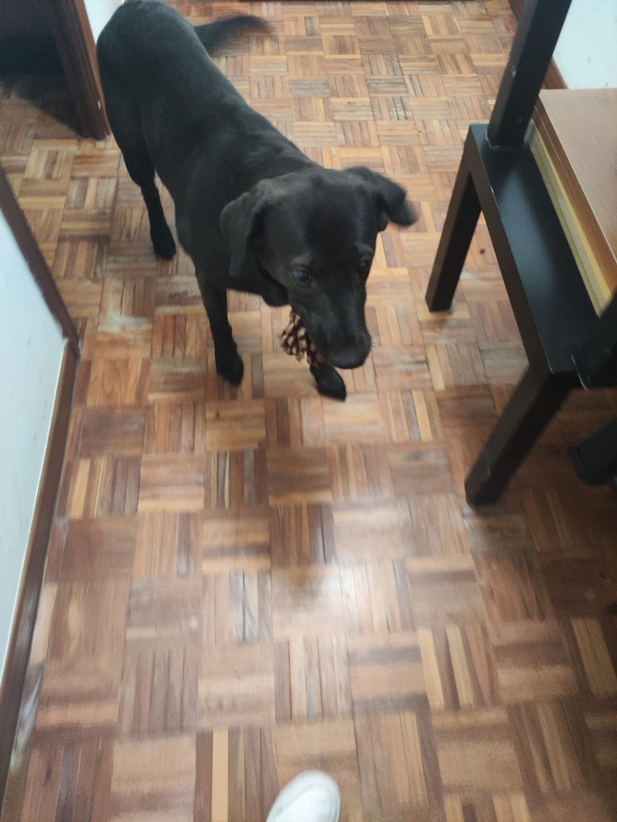 <a href="/Ossiir03/">PFS Ossiir</a> <a href="/Frencho_13/">Frencho</a> <a href="/TheDarlas/">Darlas 🎮</a> Piña