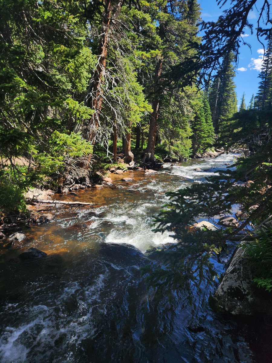 SamRPJRoss's tweet photo. Brilliant week at @CUBoulder with @LauraEllenDee working on response diversity, eating brussel sprouts and elk hotdogs, seeing a bear, a moose, and a tonne of prairie dogs, and going to my first baseball game! Thanks Laura &amp; everyone for making my trip productive and memorable 🦬 https://t.co/f5Ih7ROuUF