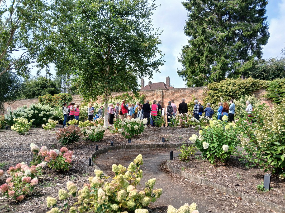 A great turnout for this mornings first tour of the collection with another good turnout of enthusiastic visitors for our afternoon tour. #Derby #Hydrangea