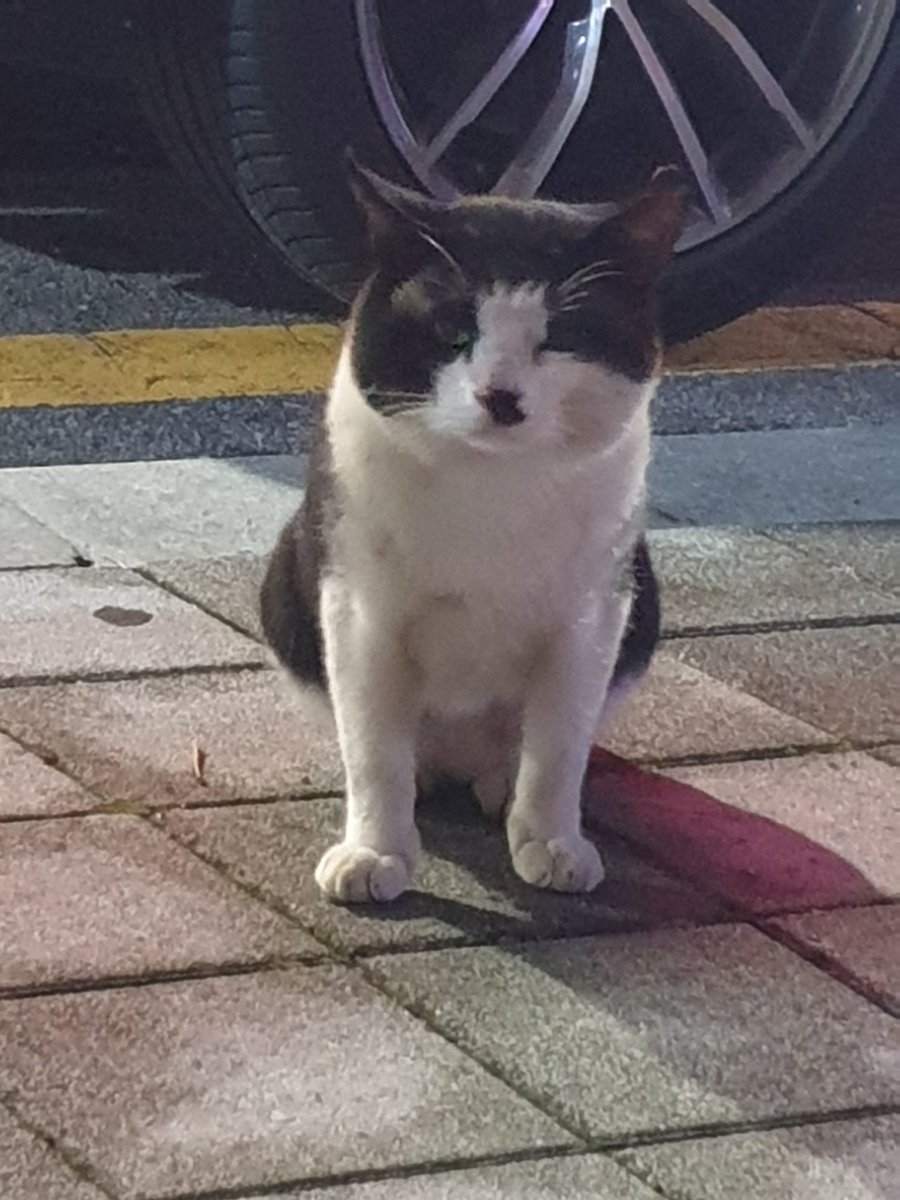 리버 RIEVER tweet media