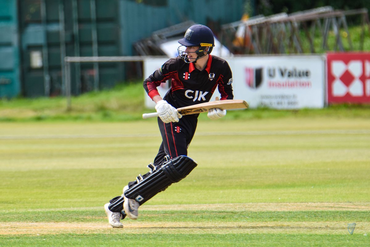 Cricket Leinster tweet media