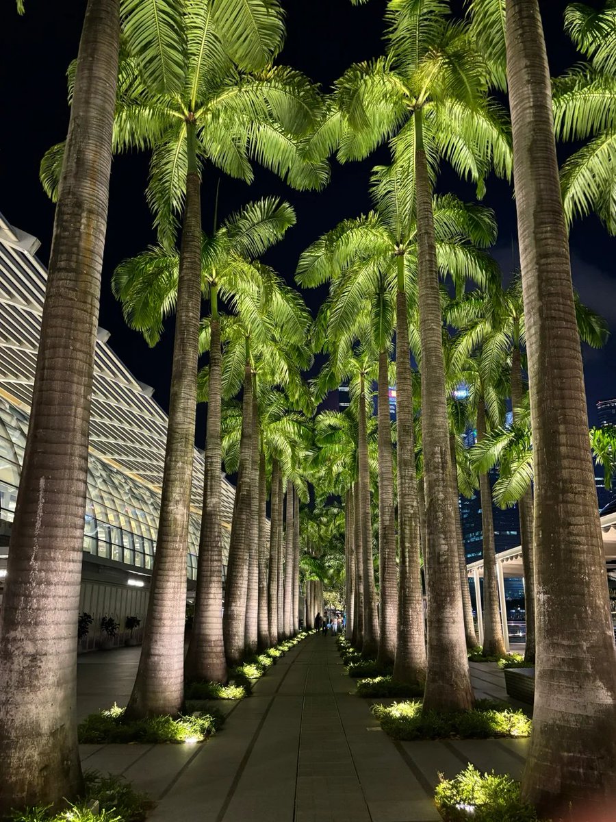 eyanamy's tweet photo. The night view here is really great, very suitable for taking pictures haha https://t.co/LUX3CSvV99