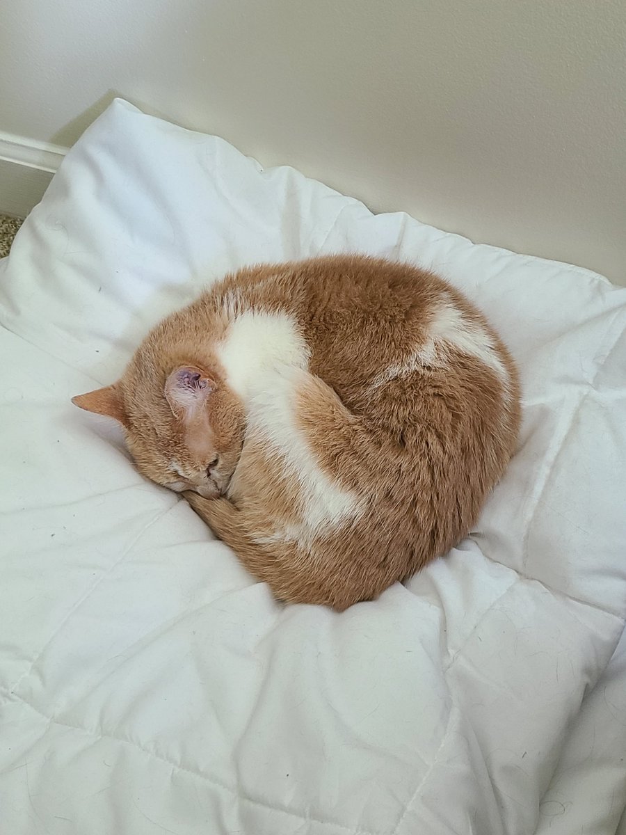 ToonesToons's tweet image. 🎉SHES 9 TODAY🎉