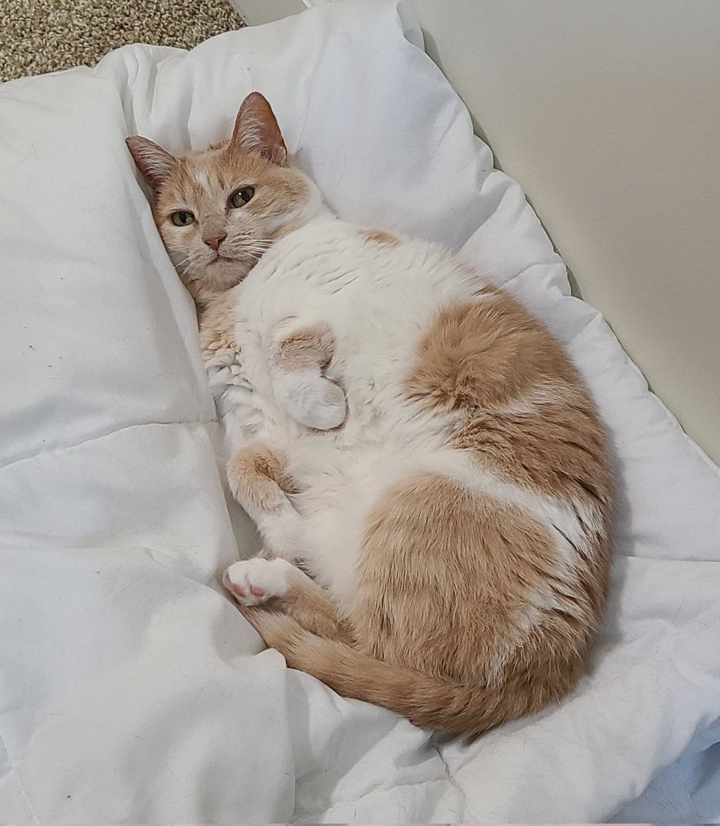 ToonesToons's tweet image. 🎉SHES 9 TODAY🎉