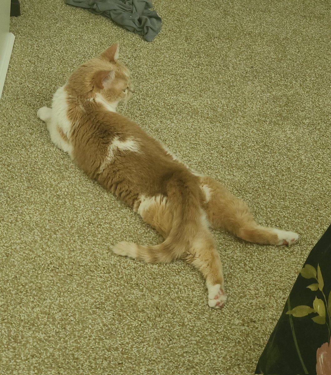 ToonesToons's tweet image. 🎉SHES 9 TODAY🎉