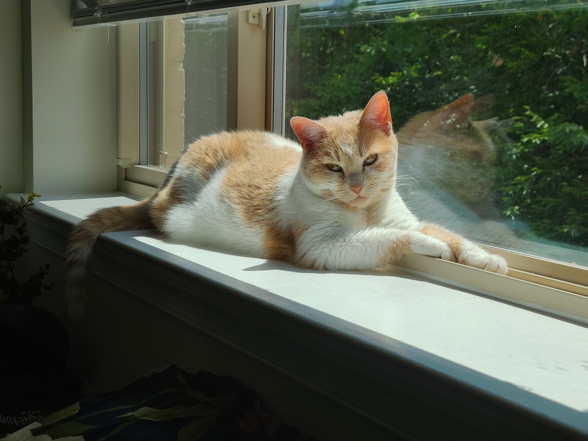 ToonesToons's tweet image. 🎉SHES 9 TODAY🎉