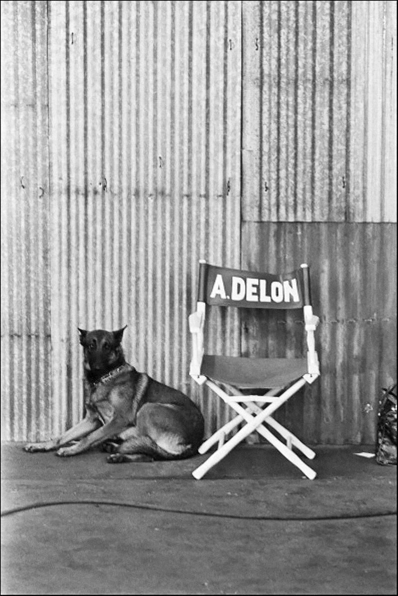 Alain Delon Society tweet media