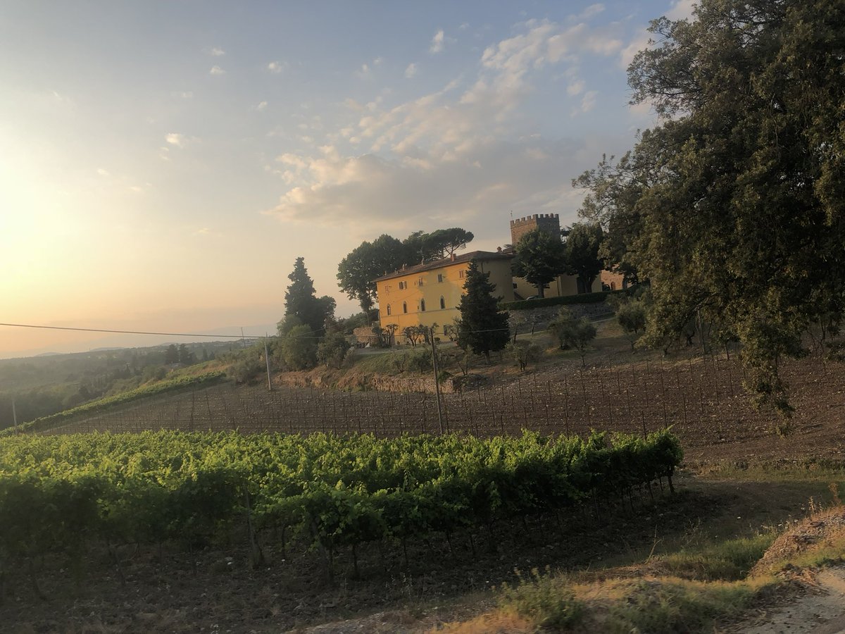 EU Nature restoration law goes into effect today.  Big opportunity to tie in outdoor recreation &amp; wellness.  What law means: EU countries must restore at least 30% of habitats in poor condition by 2030, 60% by 2040, and 90% by 2050 
#restoration #conservation #outdoorcity #eu