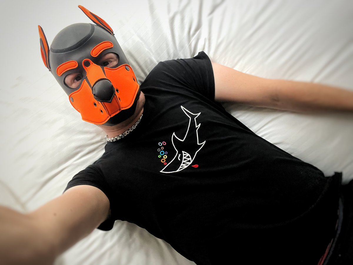 Hello Manchester! 🐶