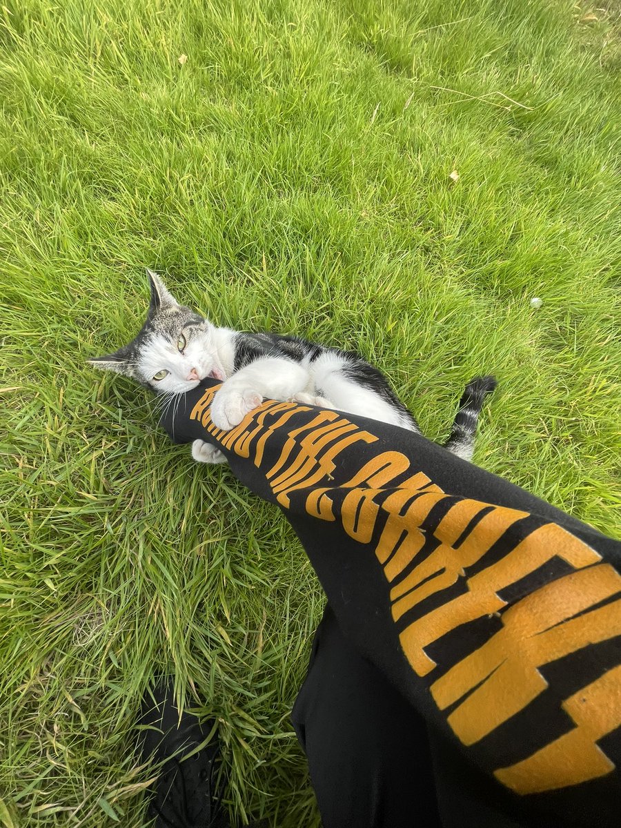 ATCfever's tweet photo. Lynx thinks @ATC_BAND is tasty and you should too 🥵🤙🏼 

@ChrissyCostanza @WillFerri @DanielGow https://t.co/dlrGl6xPbQ