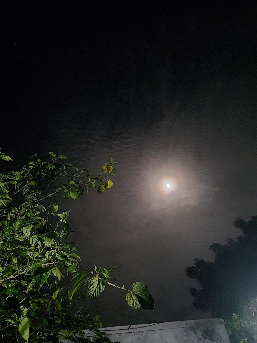 Im_sweeTsis's tweet photo. 🖤🌙🌝  
🎶bodhai... nee thanae... thalladuren naanae..🎼 https://t.co/4Kz891kxlU