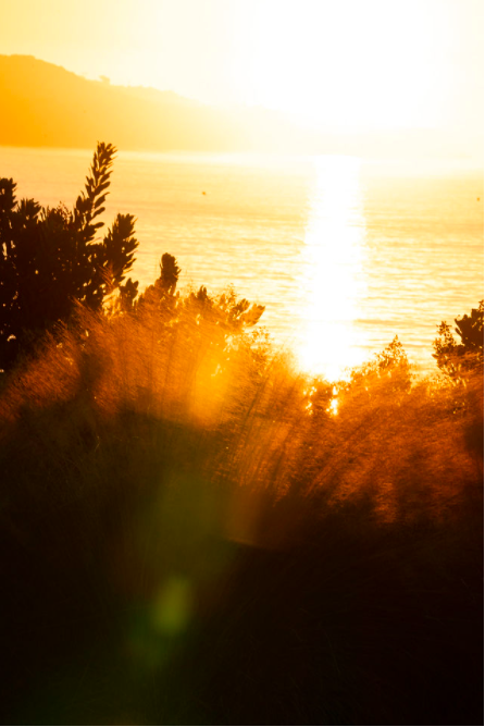 meetdarlene's tweet photo. GOOD MORNING LA! Very sunrise brings a new opportunity to rewrite your story. How are you showing up for yourself today? #NewDayNewPossibilities https://t.co/c4yZz1Syfh