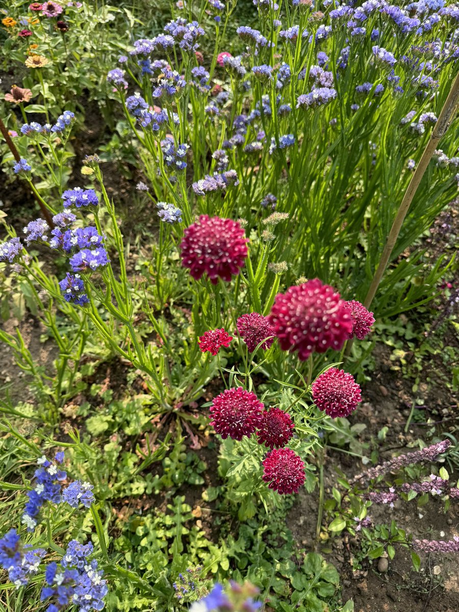 Garden Brocante tweet media
