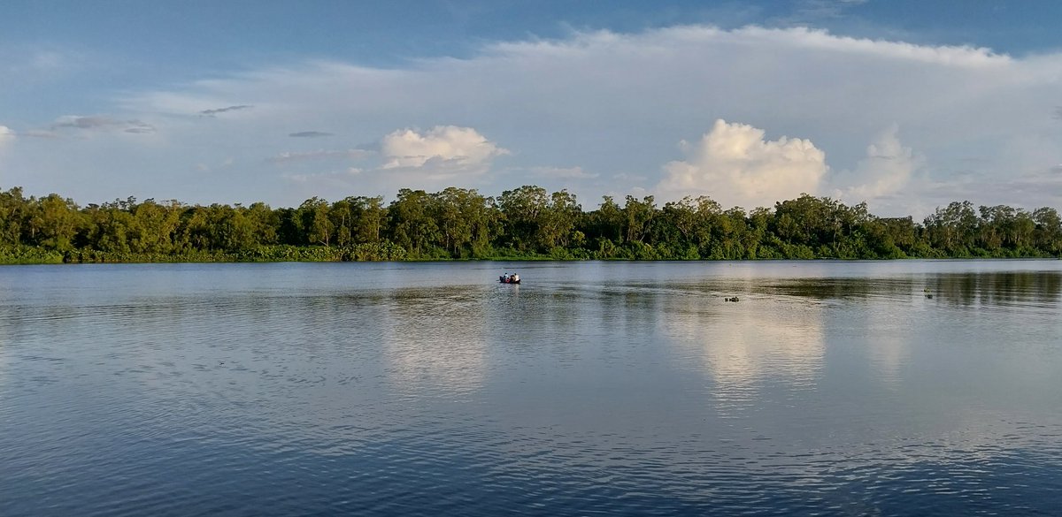 steve_hide's tweet photo. Warao, 'People of the Canoe', in the Orinoco Delta, now paddling the vast wetlands after bartering their outboards for food and the fuel supply ran out. Most speedboats now belong to guerrillas and drug gangs running cocaine out to cargo ships in the Atlantic. https://t.co/w04iseoMlK