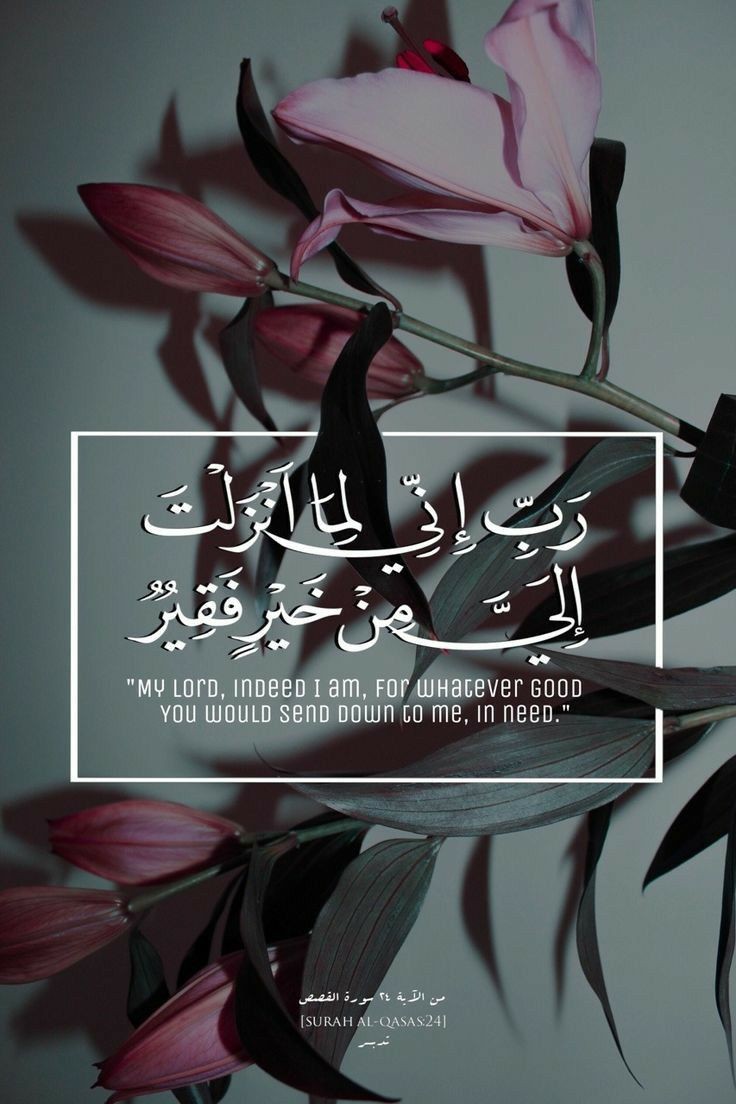 رَبِّ إِنِّي لِمَا أَنْزَلْتَ إِلَيَّ مِنْ خَيْرٍ فَقِيرٌ🤍..