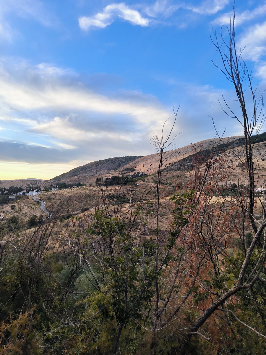 juanvinuesa83's tweet image. Anoche, en Víznar, @MariTriniSanMig y su compañía @proyecto_43_2, hicieron un espectáculo importante.
En el barranco, declarado Lugar de Memoria Histórica, rindieron homenaje a los fusilados, a los desaparecidos, a los olvidados.