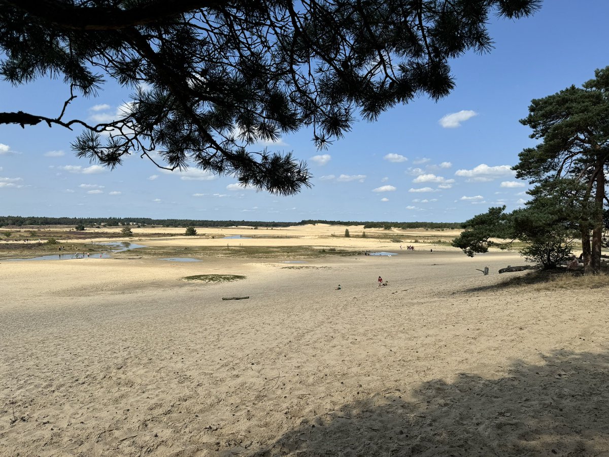 Frans Kapteijns tweet media