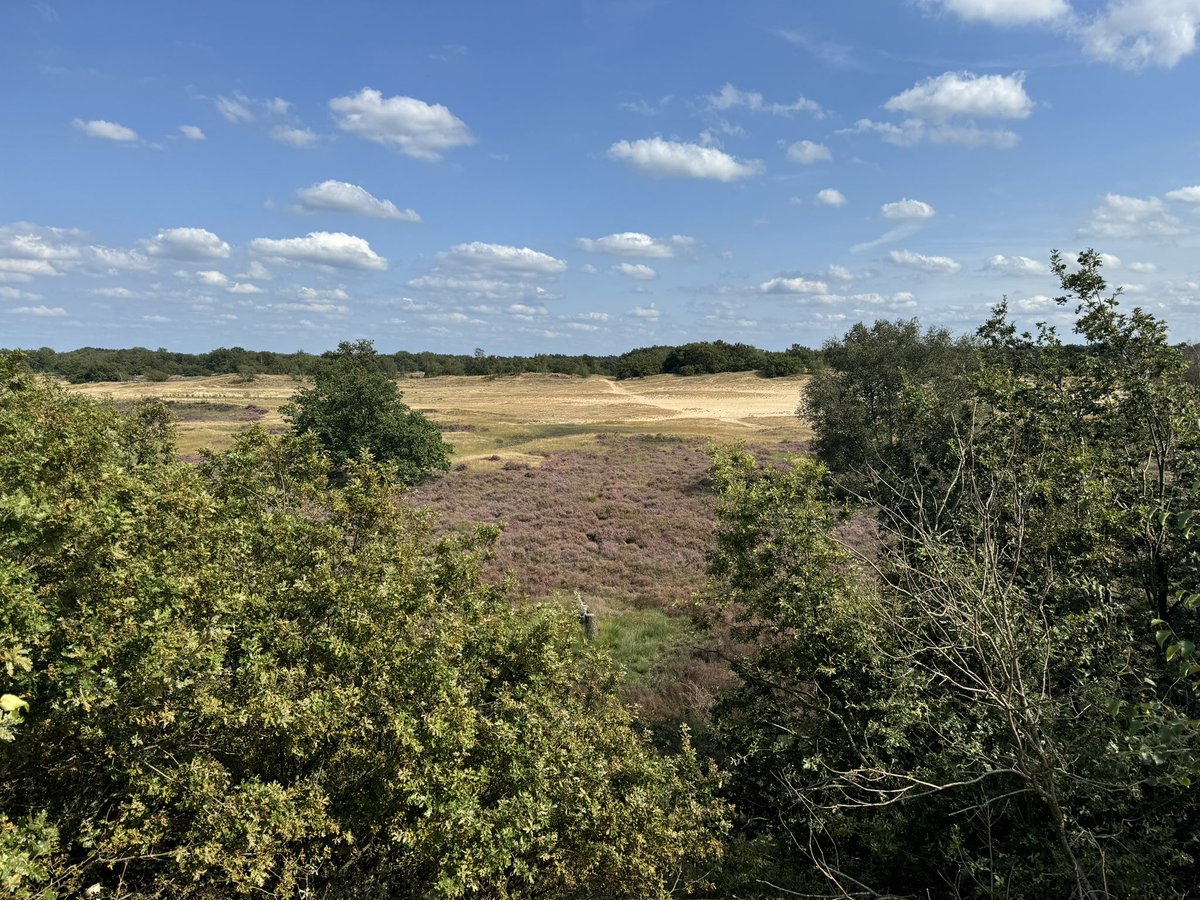 Frans Kapteijns (@boswachterfrans) on Twitter photo Gisteren een hele mooie dag gehad en een hele mooie wandeling gemaakt in de #LoonseenDrunenseDuinen @Natuurmonument <a href="/VanGoghNP/">Van Gogh Nationaal Park</a> samen met een paar influencers in opdracht van <a href="/VanGoghNP/">Van Gogh Nationaal Park</a> Gisteren een hele mooie dag gehad en een hele mooie wandeling gemaakt in de #LoonseenDrunenseDuinen @Natuurmonument <a href="/VanGoghNP/">Van Gogh Nationaal Park</a> samen met een paar influencers in opdracht van <a href="/VanGoghNP/">Van Gogh Nationaal Park</a>