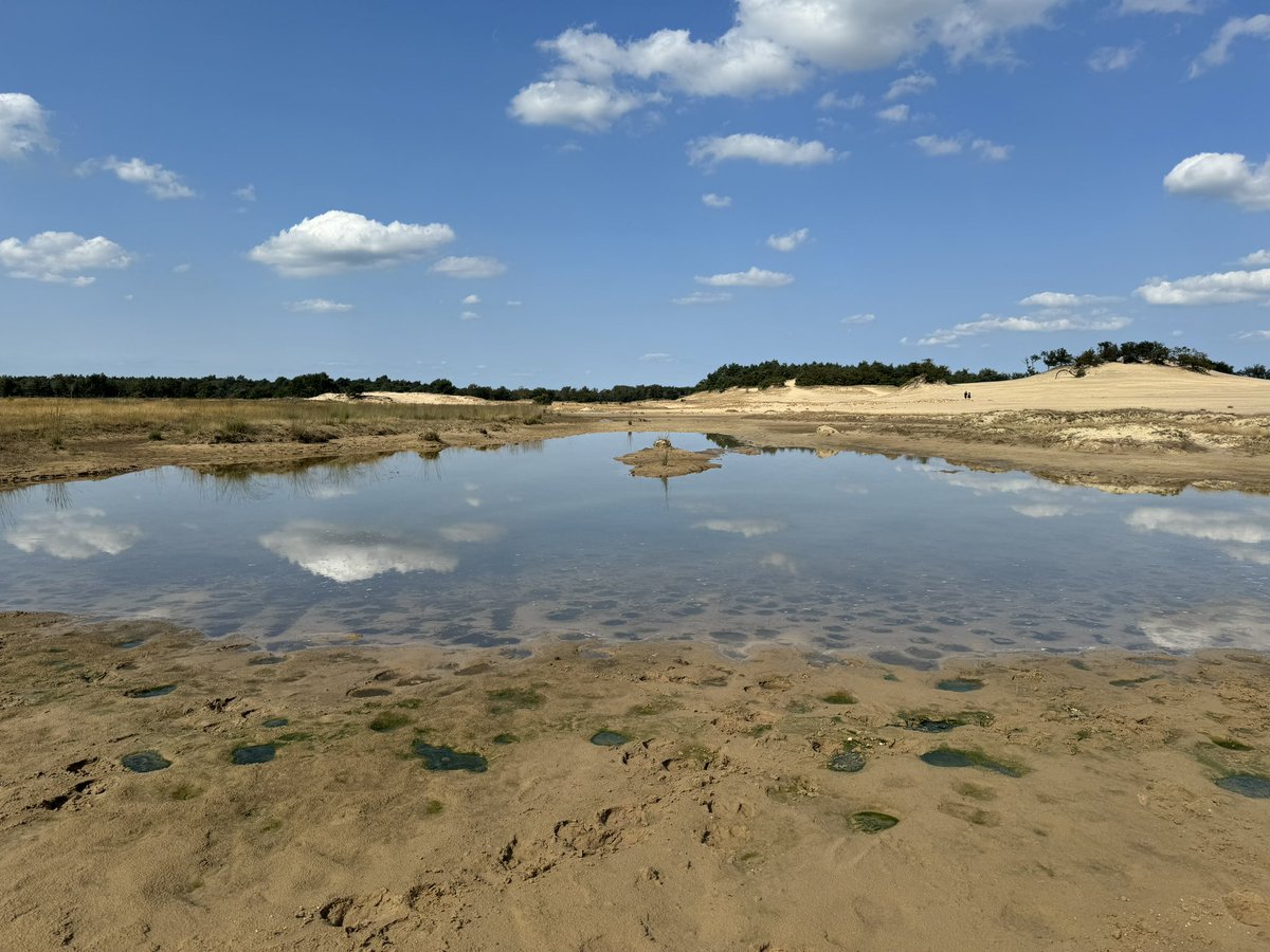 Frans Kapteijns tweet media