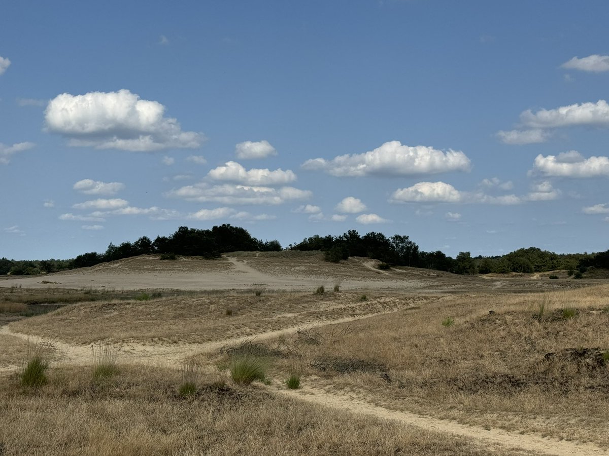 Frans Kapteijns tweet media