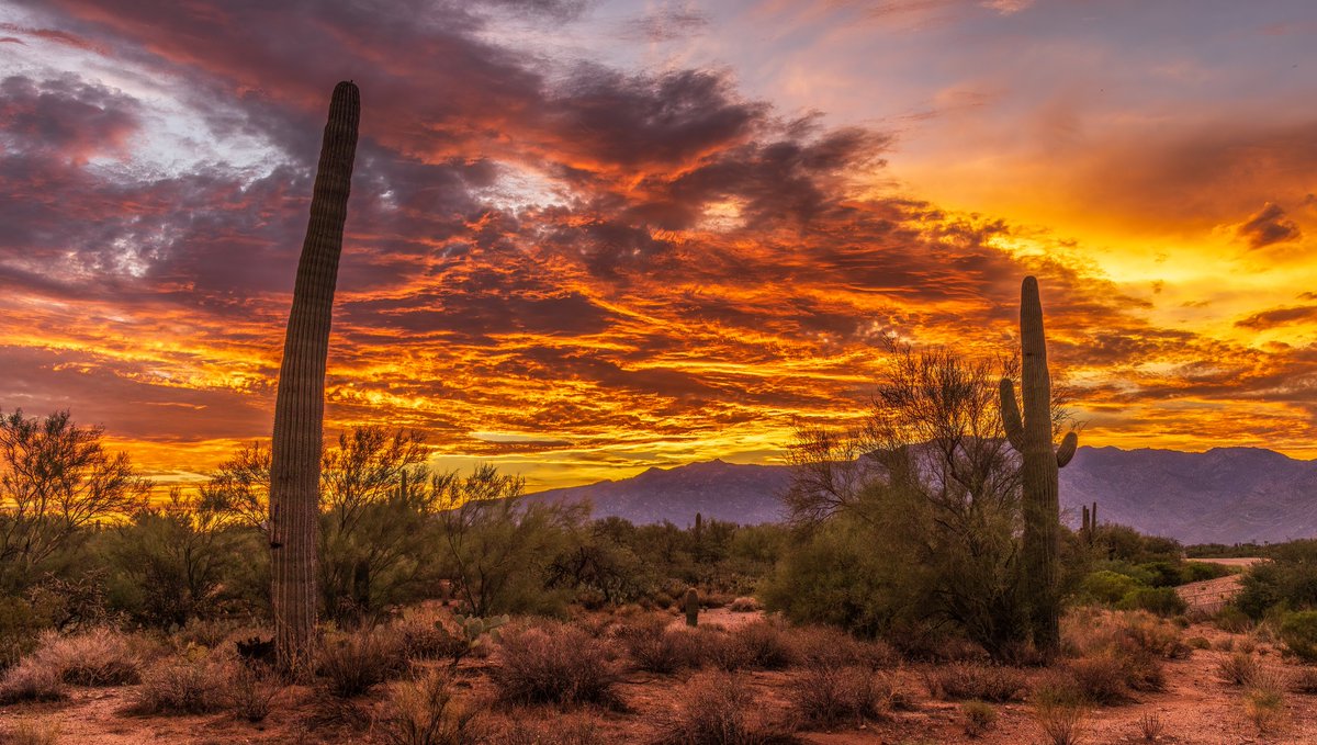 A dramatic and colorful #sunrise over #OroValley and the #Tucson #Arizona metro area after last night's crazy #monsoon storm! #azwx #sunrisephotography <a href="/WaldrefWeather/">Stephanie Waldref</a> <a href="/MallorySchnell/">Mallory Schnell</a>
