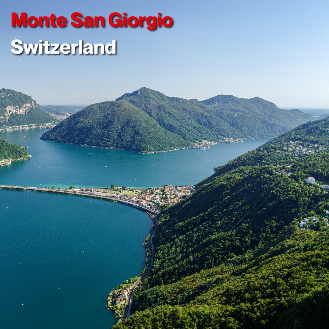 AbtSwitzerland's tweet photo. The pyramid-shaped mountain of Monte San Giorgio beside Lake #Lugano is regarded as the best fossil record of marine life from the Triassic period.
The fossils are on display in #Meride 🇨🇭, where the 2.5 metre long saurian Ticinosuchus greets visitors to the museum. https://t.co/jnagVMVvTc