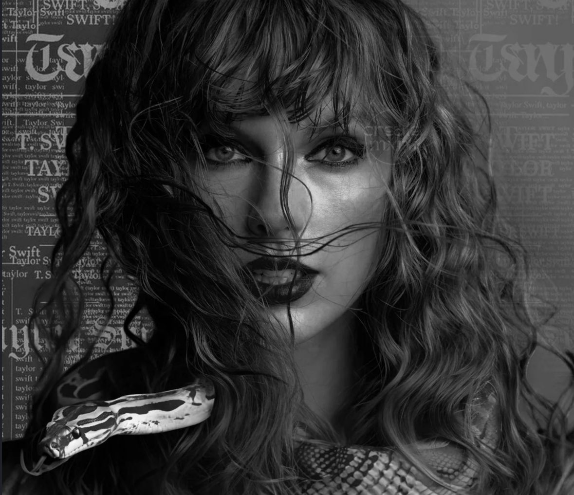 Zara Bliss⸆⸉❤️🔥 tweet media