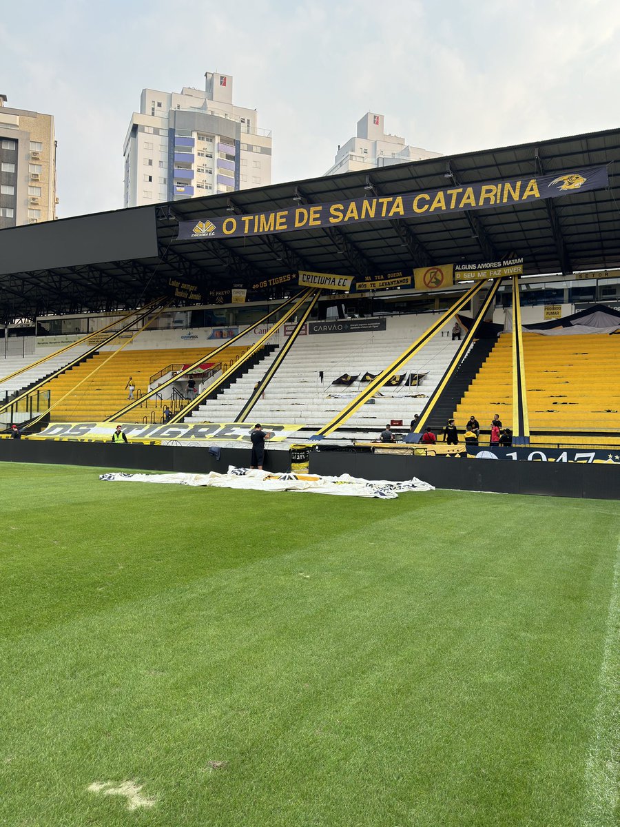 Os Tigres tweet media