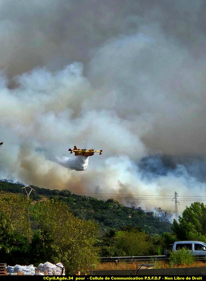 asso_psfdf's tweet image. 🔴 EN DIRECT de GIGEAN !!
⏭️- Suivi du feu à 17h30 :
________________________________
❗ Suivis de l&apos;évolution ici : ❗
⏩Notre site : association-psfdf.fr
⏩ Carte live : association-psfdf.fr/carte-2.html
________________________________
#sdis34 #incendie #SDIS #FeuxDeForêt #pompiers