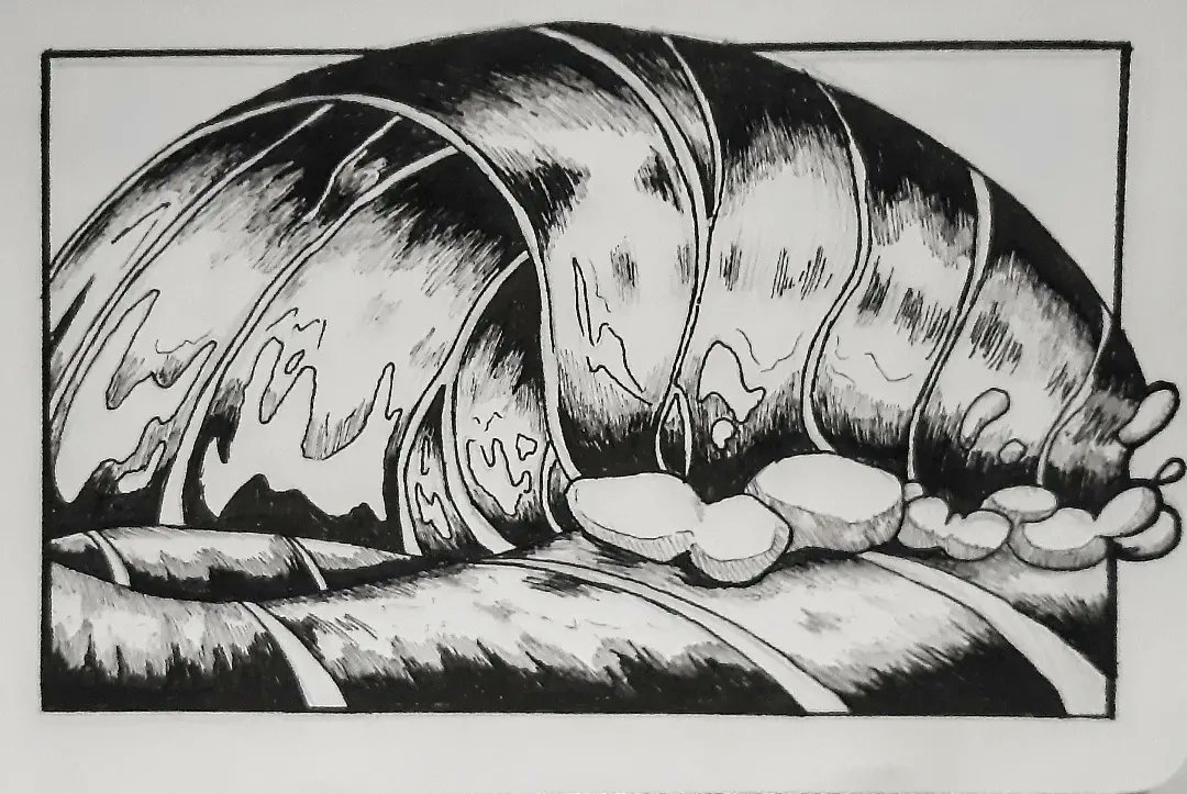 ZannyHyper's tweet photo. Traditional ink and acrylic picture of a crashing wave inspired by Brittany Meredith's book Creature Corners.
#traditionalart #micronpens #inks #goldpaintpen #wave #crashingwave #oceanartwork #waveart https://t.co/xj3cJdJcYt