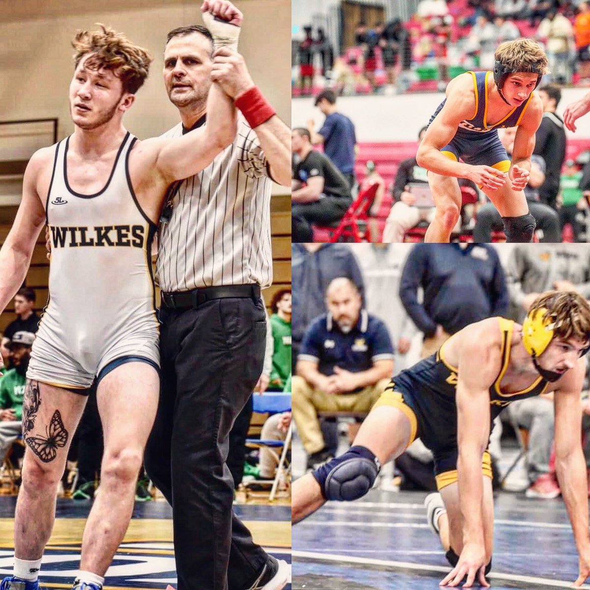 WilkesU_Wrestle's tweet photo. Less than 12 weeks away till the Colonels open up the 2024-25 season at the Ned McGinley Invitational 💥

#ColonelPride https://t.co/wsrp7WzMx4