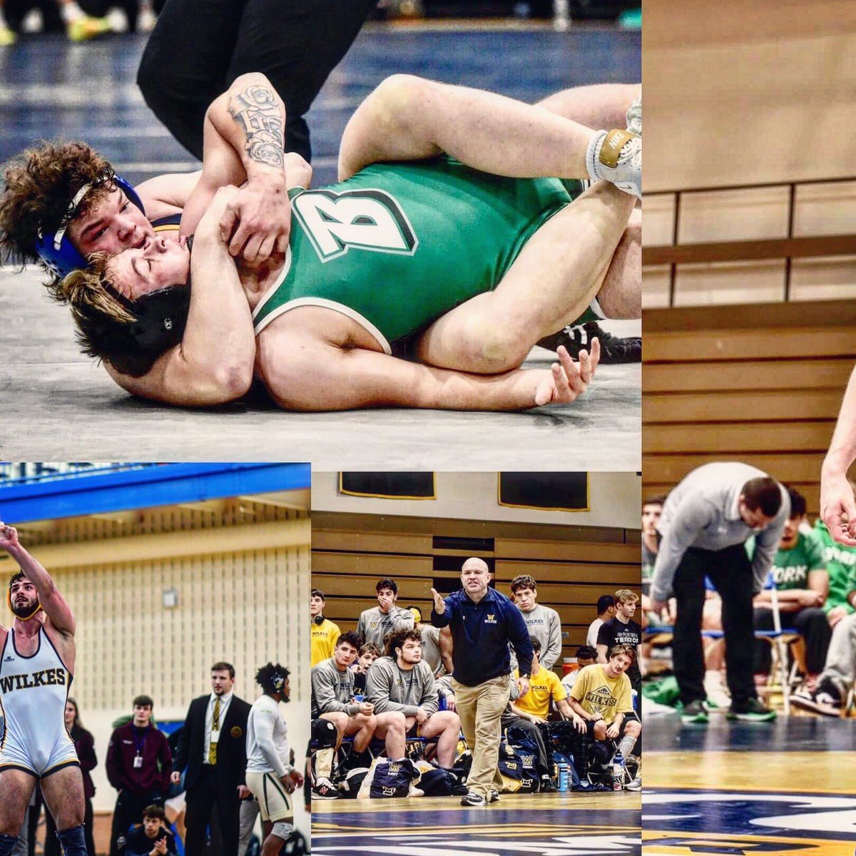 WilkesU_Wrestle's tweet photo. Less than 12 weeks away till the Colonels open up the 2024-25 season at the Ned McGinley Invitational 💥

#ColonelPride https://t.co/wsrp7WzMx4