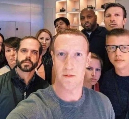 bugs when you lift up a rock: