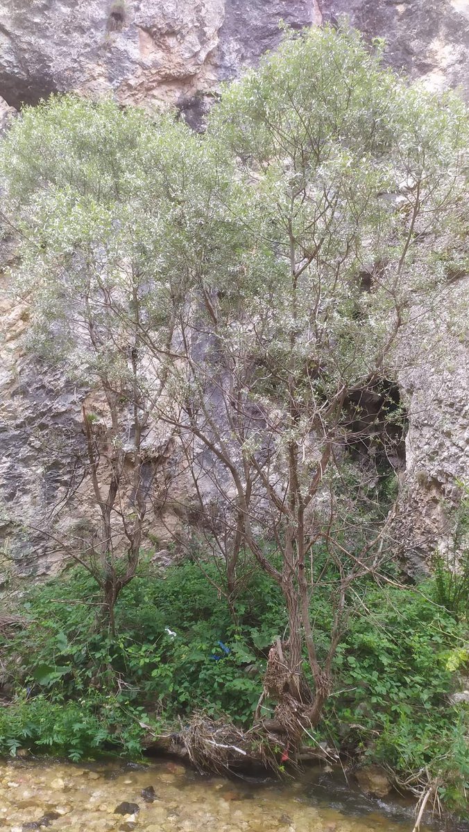 Zinav Kanyonu
Reşadiye / Tokat