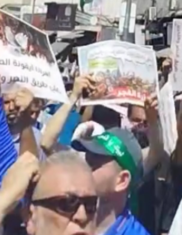 SwordOfSalomon's tweet photo. En observant de près les manifestants, on repère de nombreuses références au Hamas : triangles rouges 🔻, bandeaux verts portés le 7/10 par les terroristes, pancartes en hommage à Ismael Haniyeh, casquettes aux couleurs 🟢 du groupe terroriste… Mais gardons le plus intéressant pour la fin ↙️
