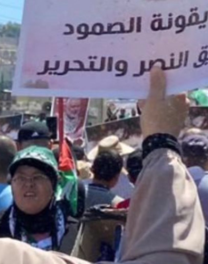 SwordOfSalomon's tweet photo. En observant de près les manifestants, on repère de nombreuses références au Hamas : triangles rouges 🔻, bandeaux verts portés le 7/10 par les terroristes, pancartes en hommage à Ismael Haniyeh, casquettes aux couleurs 🟢 du groupe terroriste… Mais gardons le plus intéressant pour la fin ↙️