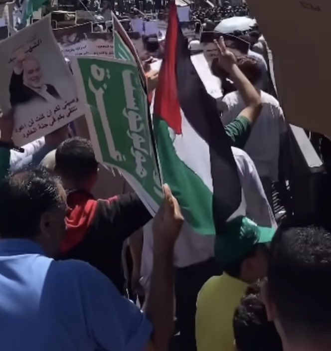 SwordOfSalomon's tweet photo. En observant de près les manifestants, on repère de nombreuses références au Hamas : triangles rouges 🔻, bandeaux verts portés le 7/10 par les terroristes, pancartes en hommage à Ismael Haniyeh, casquettes aux couleurs 🟢 du groupe terroriste… Mais gardons le plus intéressant pour la fin ↙️