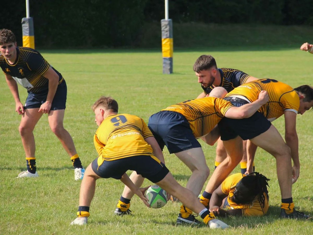 Basingstoke Mens Rugby tweet media