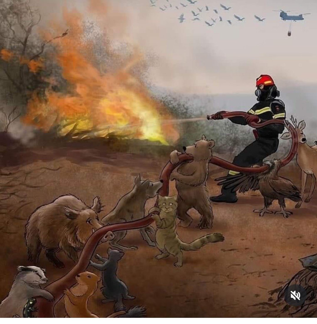 Ağaçlar koşamıyor hayvanlar kaçamiyor kuşların bile kanatlarının hızı alevlerden kaçmaya yetmiyor hayvanların çığlığını toprak ana havızaya alıyor unutmayalım ki toprağın ve doğanın hafızası var bu yapılanları unutmaz #izmirdeyangın #yangın #izmirdeyangınvar