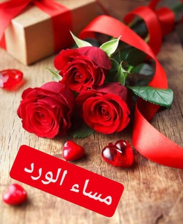 XRPRITqXo7dGKRA's tweet photo. @Mamo_Chaan مساء الورد https://t.co/ubnji5kMkj