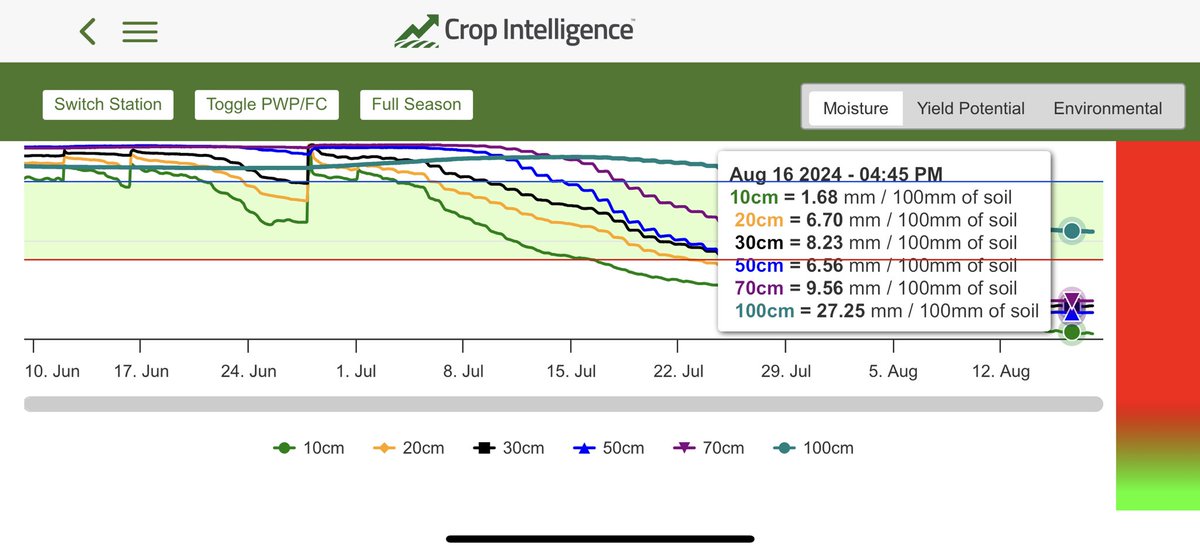 Ryan MacLeod tweet media