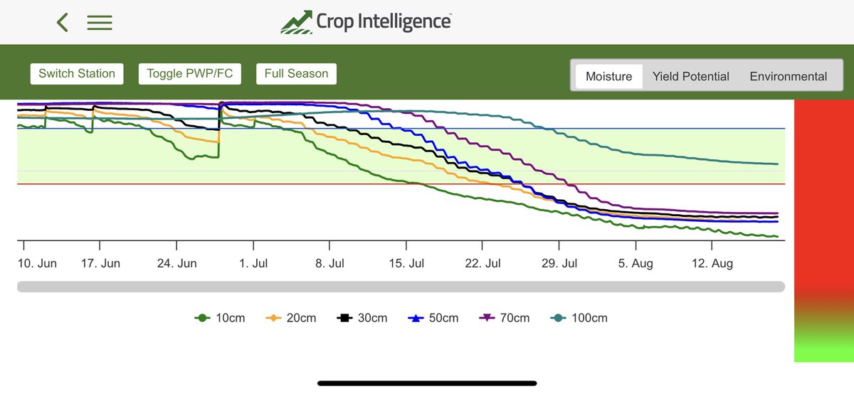 Ryan MacLeod tweet media