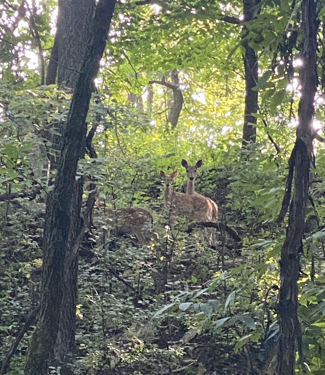 Scott Noet tweet media