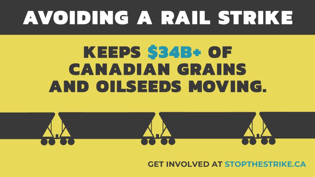 Sask Wheat is calling on the Government of Canada to utilize all available tools to prevent a service disruption from both major Canadian railways, CN and CPKC. #StopTheStrike #CdnAg

Read the full letter here and find out more:
saskwheat.ca/letter-urging-…
stopthestrike.ca