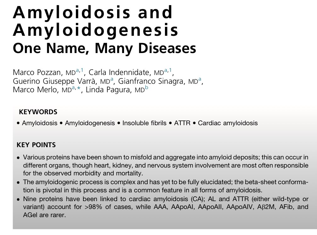 Paola Morejón Barragán tweet media