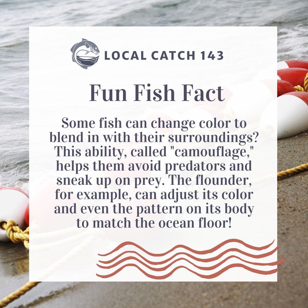 localcatch143's tweet image. Did you know some fish are masters of disguise? 🐟 Flounders, for example, can change their color and pattern to blend in perfectly with the ocean floor! Talk about a built-in invisibility cloak! 🌊 

#funfishfacts