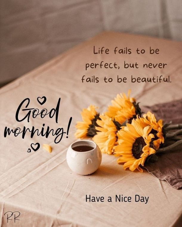 Anaaeye's tweet photo. Happy Sunday! A new day, a fresh start🌿 #SundayRefresh https://t.co/LSuirhhpts
