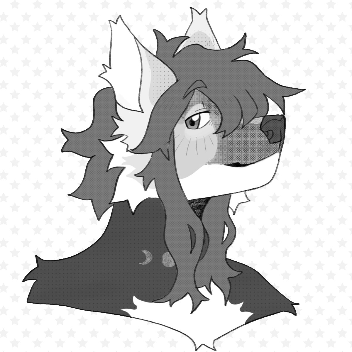 Quick raffle! one free B/W bust 
to participate you must:
💫Follow me
💫Share this post
💫Comment with your character ref! (sfw!)
Ends in 4 hours! good luck everyone!