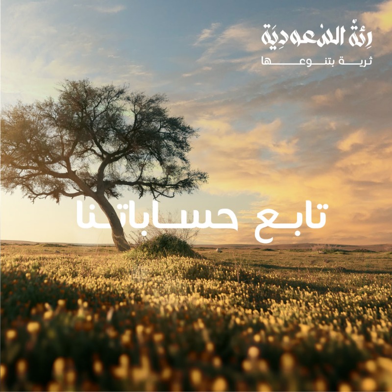 ITBA_SA's tweet photo. بين كل شجرة وظل، هناك جمال يكمن في تفاصيله، وحكايات تنتظر أن تُروى في أكناف #محمية_الإمام_تركي_بن_عبدالله_الملكية

تابعنا وتعرّف على عالم مليء بالتنوع والحياة 📲