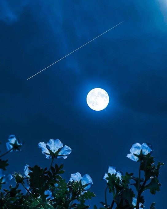 Beautiful Nature (@iindia40353) on Twitter photo 